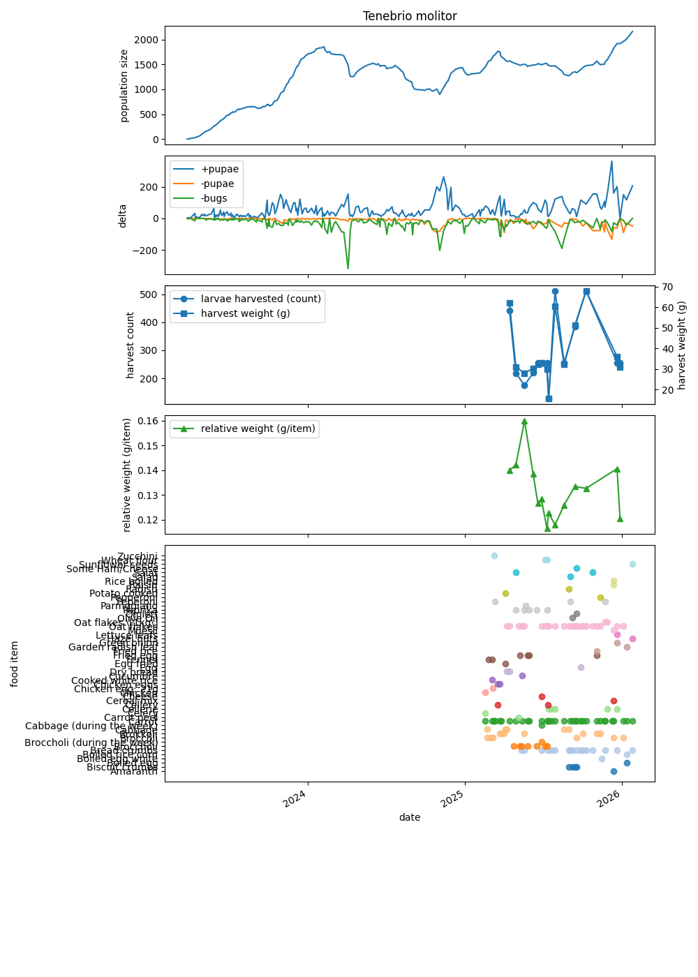 Tenebrio molitor Populationsgraphen
